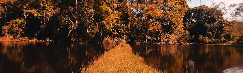 User banner image